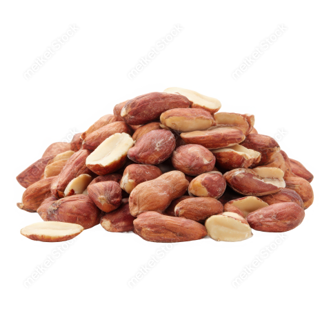 Bdrabiul22 A pile of shelled raw peanuts isolated on a clean b587acd6 644d 4b88 84bf 47c37098e56d 0 attr1 feather
